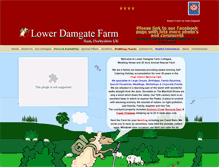Tablet Screenshot of damgate.com